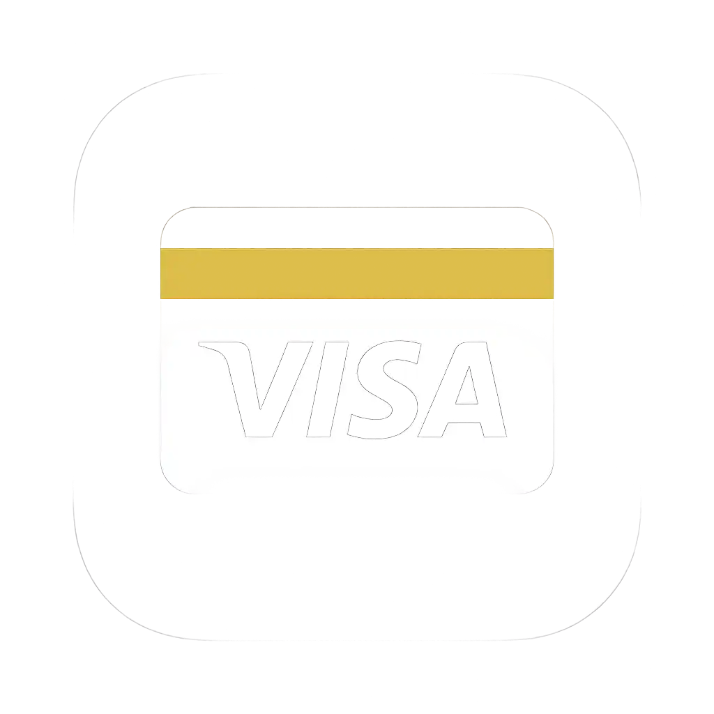 Visa payment icon